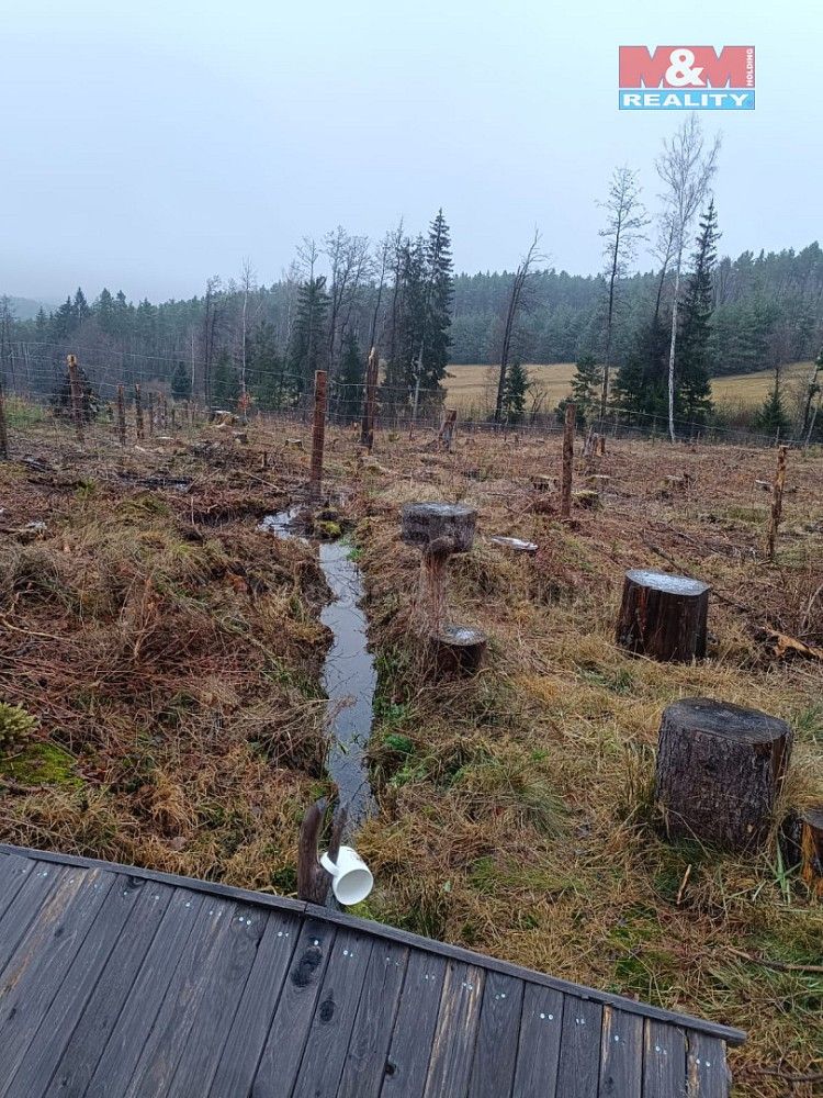 Lesy, Vacovice, okres Strakonice, Jihočeský kraj - 2