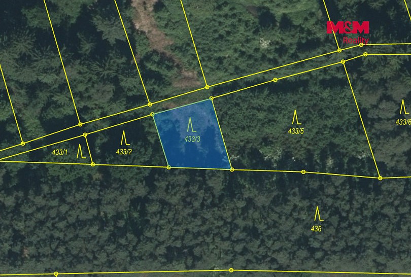 Les · Slabčice - Písecká Smoleč, okres Písek - 3