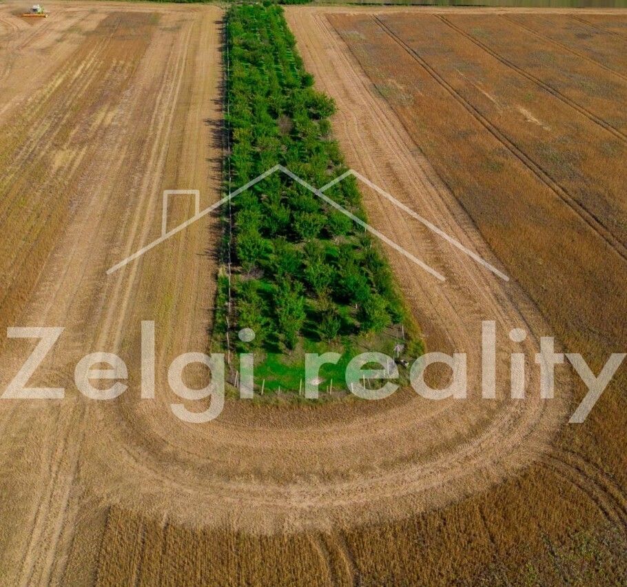 Prodej pozemek - Hlavní 1, Zaječí, 8 m²