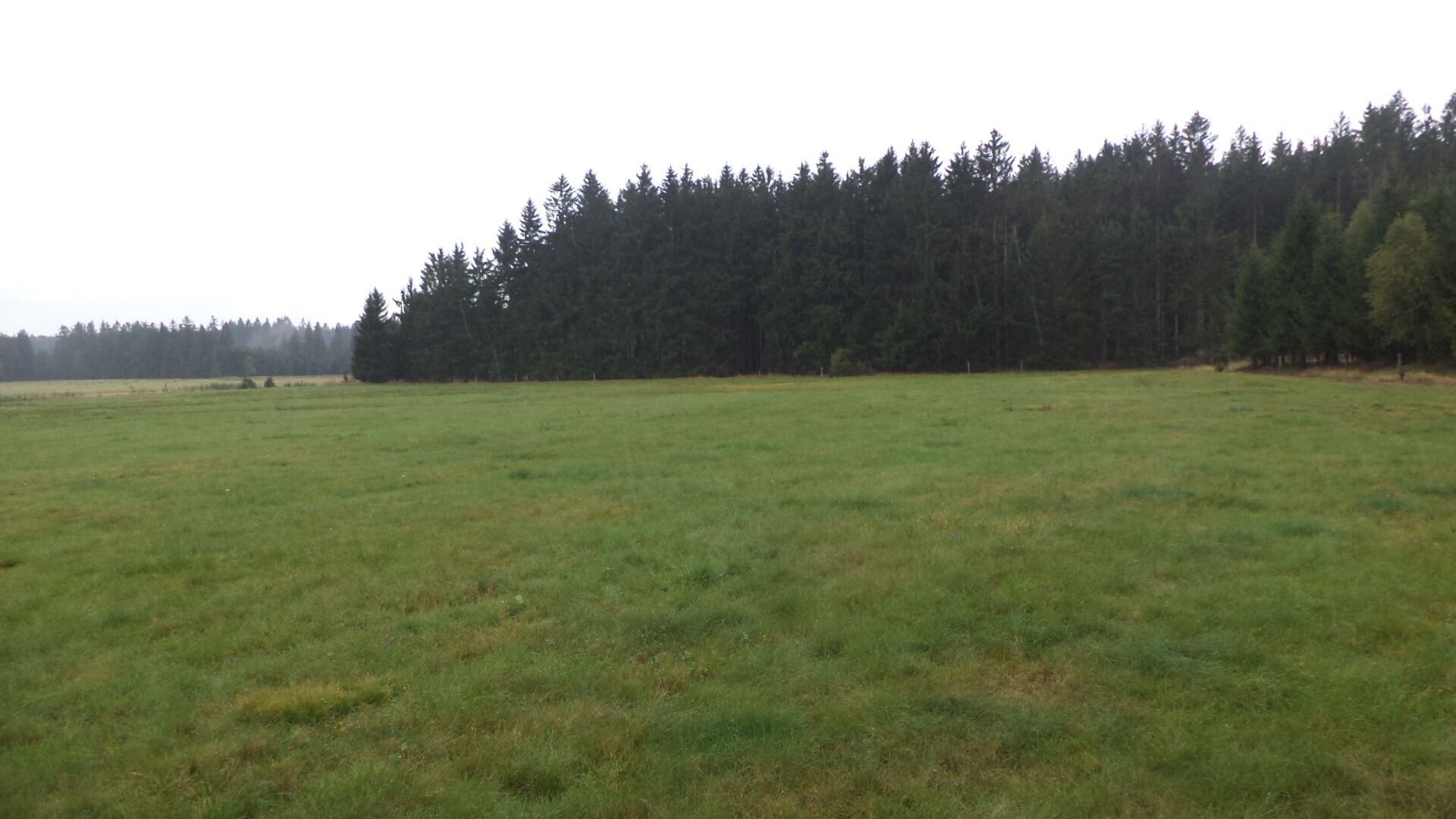 Pozemek · 2 593 m² · Nová Bystřice - 3
