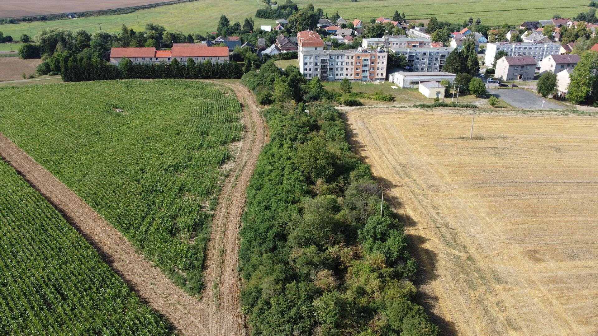 Prodej zemědělský pozemek - Žihle, 6 m²