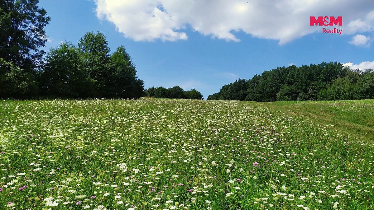 Louka · Štramberk, okres Nový Jičín, Moravskoslezský kraj - 4