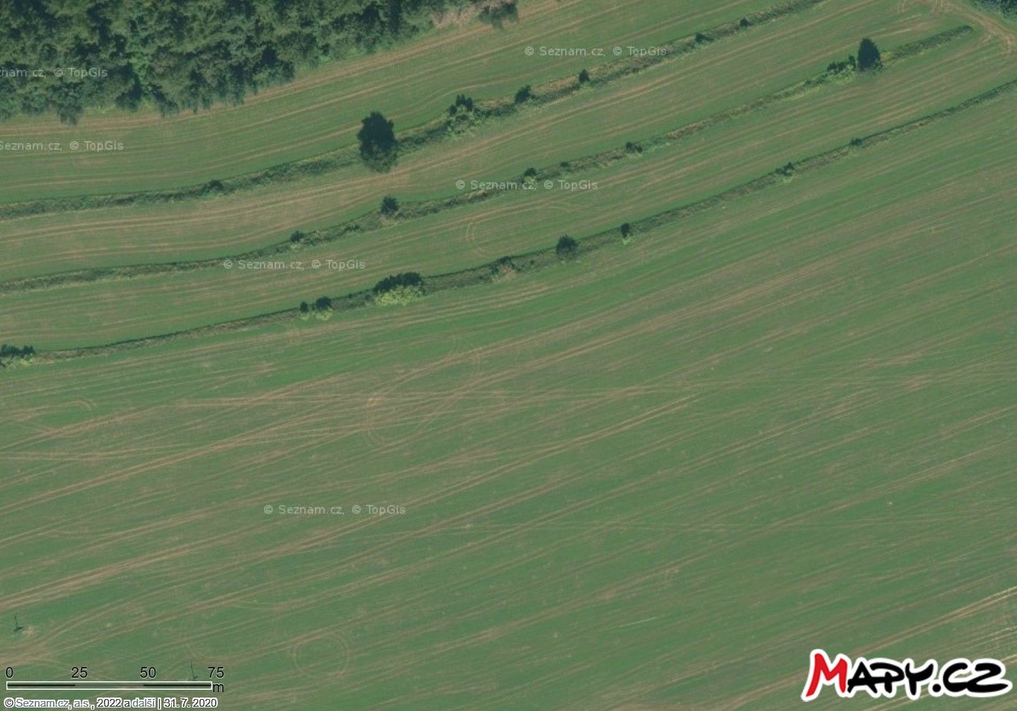 Prodej zemědělský pozemek - Dolní Bory, Bory, 26 550 m²