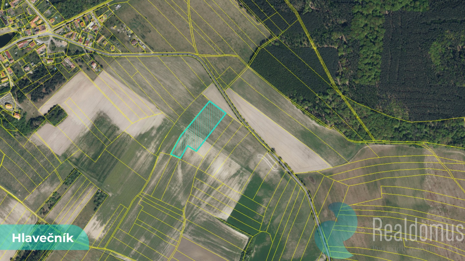 Zemědělský pozemek · 3 089 m² · Hlavečník - 3