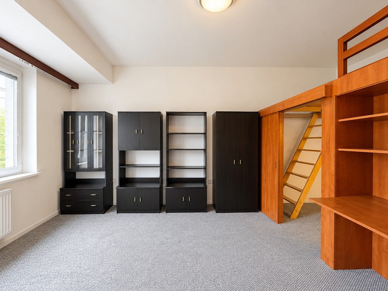 Pronájem byt 1+1 - Dukelská, Olomouc, 45 m² - 5