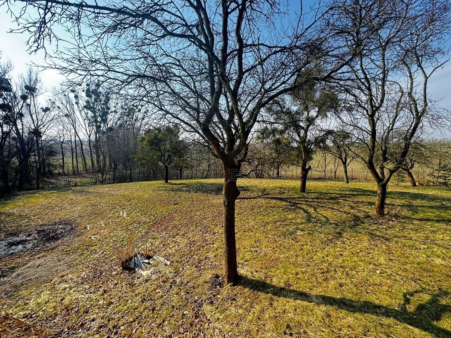 Pozemky pro bydlení, Vítonice, 3 362 m² - 2