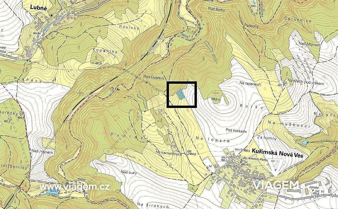 Les · Kuřimská Nová Ves, okres Brno-venkov, Jihomoravský kraj - 4