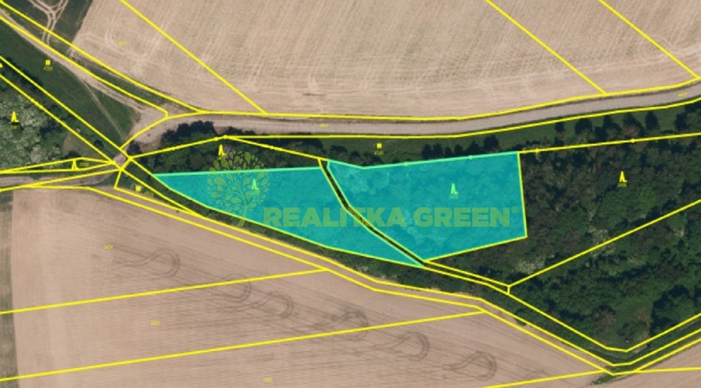 Prodej les - Jistebník, 5 452 m²