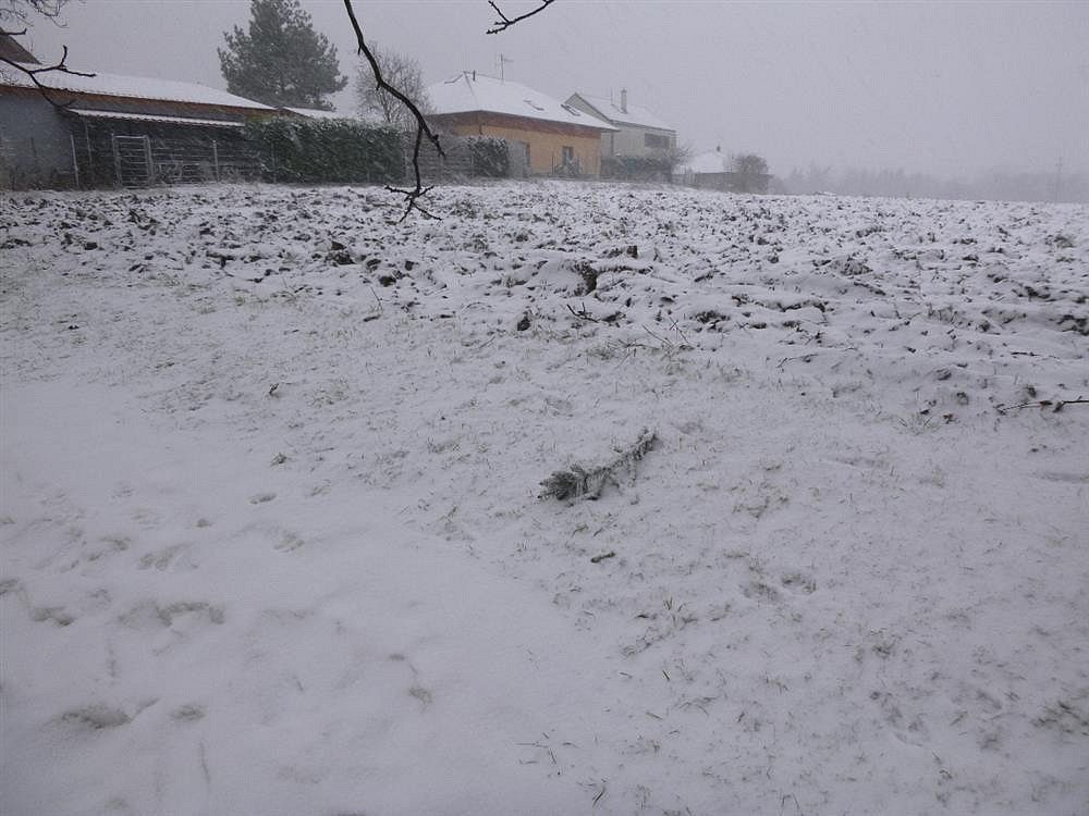 Zemědělský pozemek, 1 638 m²