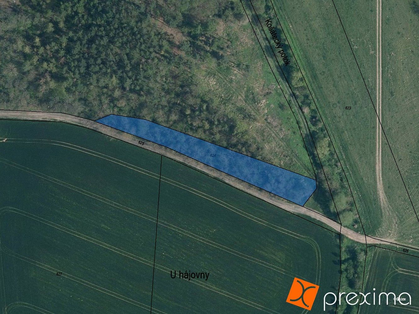 Prodej les - Nemyslovice, okres Mladá Boleslav, Středočeský kraj - 1