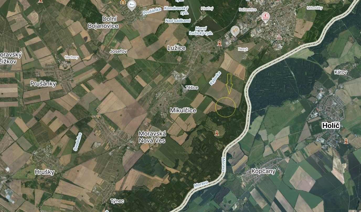 Lesy, Mikulčice - 1