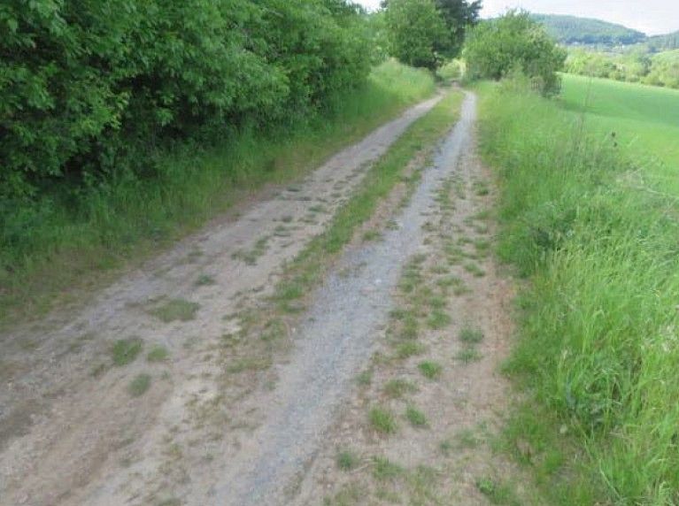 Zemědělský pozemek · Břestek, okres Uherské Hradiště, Zlínský kraj - 3