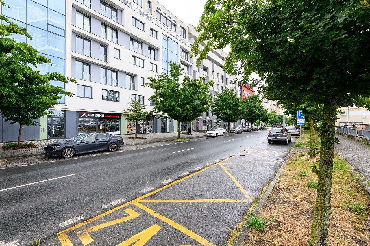 Obchodní prostory, Plzeň - Severní Předměstí, okres Plzeň-město, Plzeňský kraj, 304 m² - 2