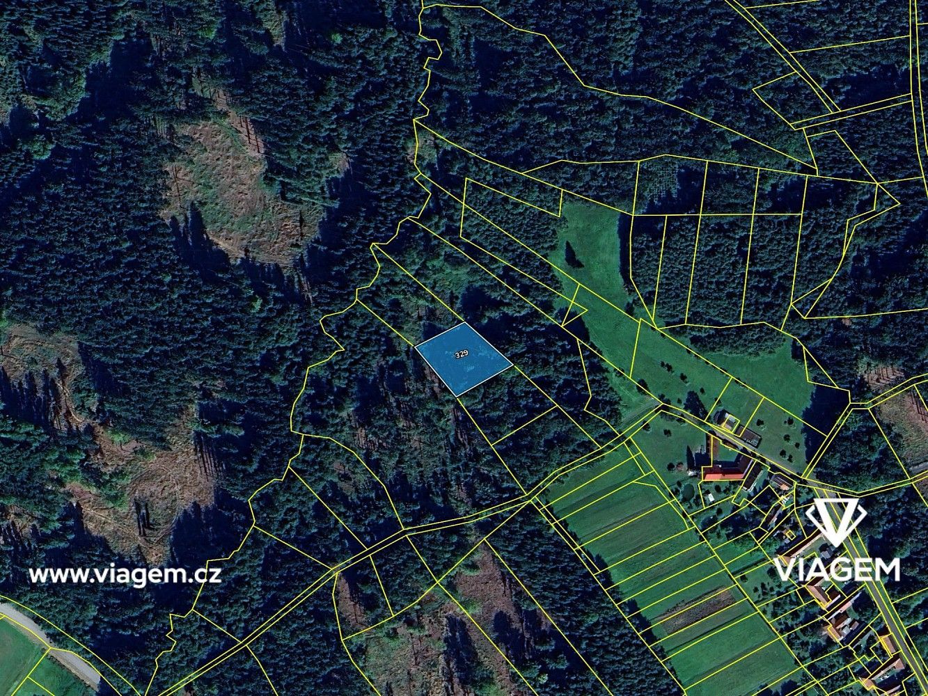 Les · Vyklantice, okres Pelhřimov, Kraj Vysočina - 4