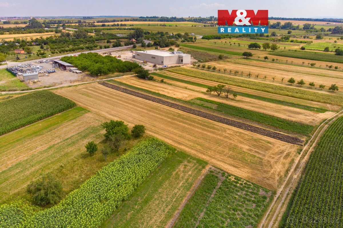 Pozemky pro bydlení, Podivín, 691 45