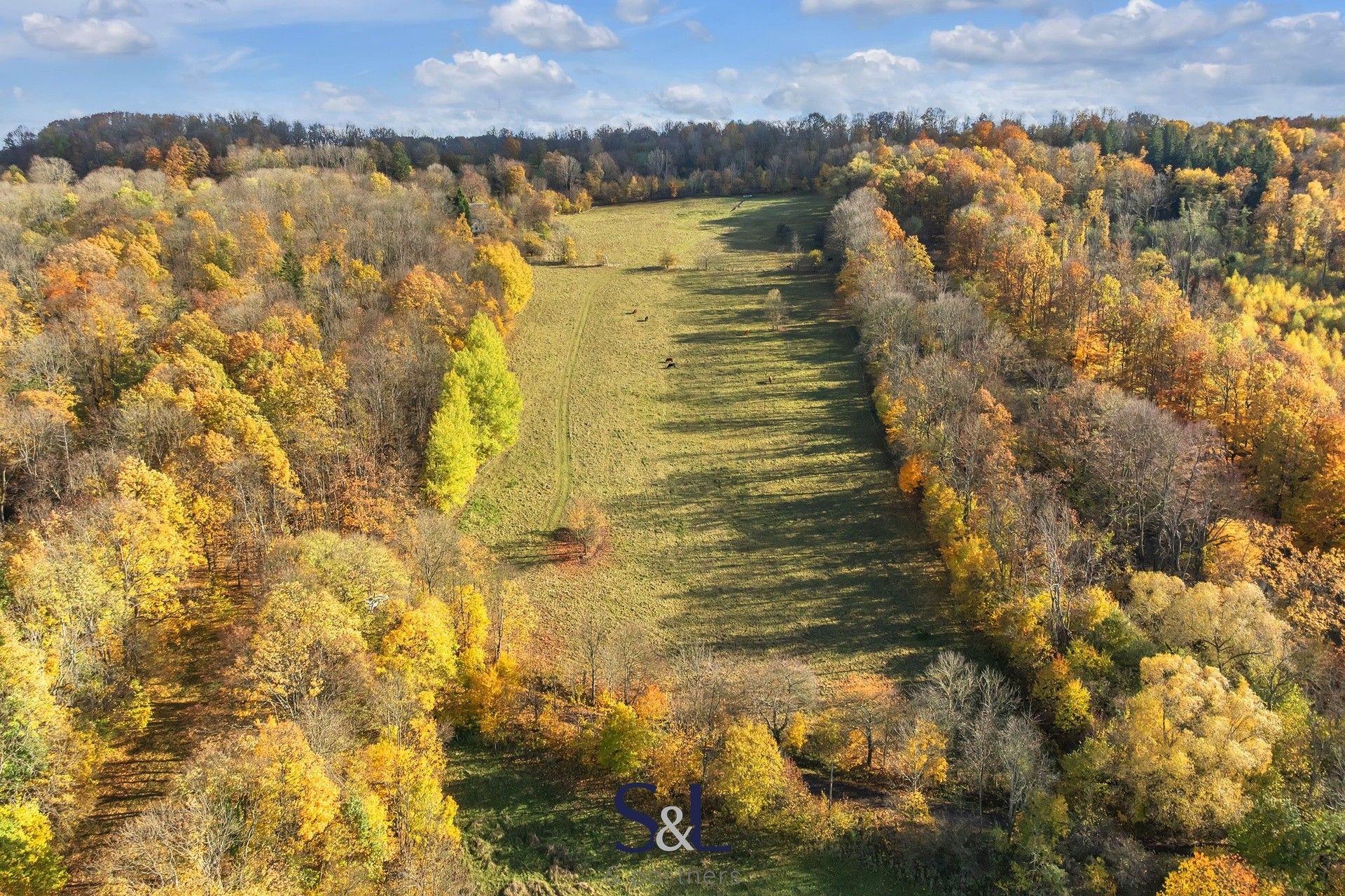 Prodej louka - Stvolínecké Petrovice, Stvolínky