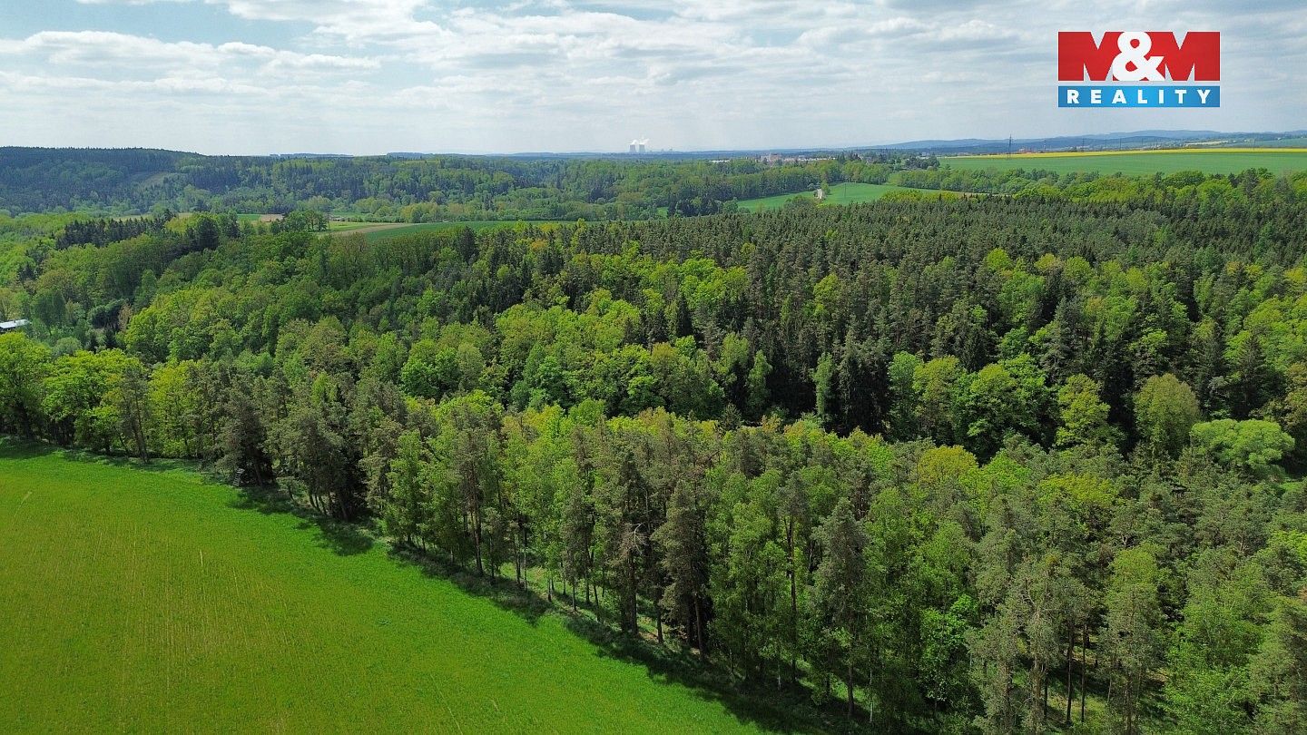 Prodej les - Černýšovice, okres Tábor, Jihočeský kraj - 5
