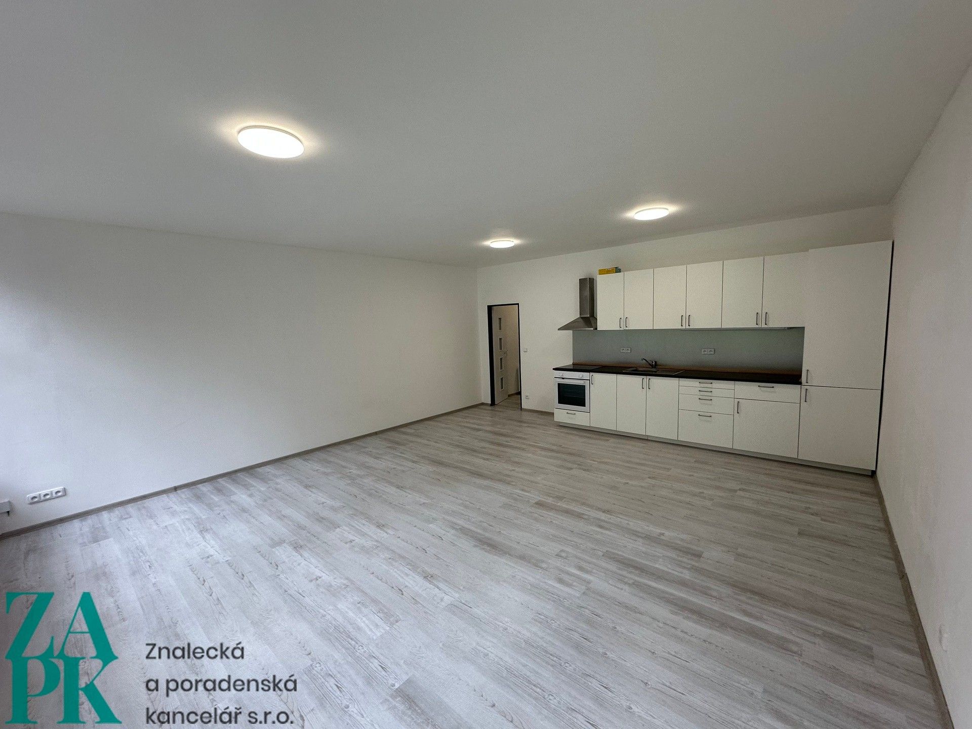 1+kk, Purkyňova, Ústí nad Labem, 55 m²