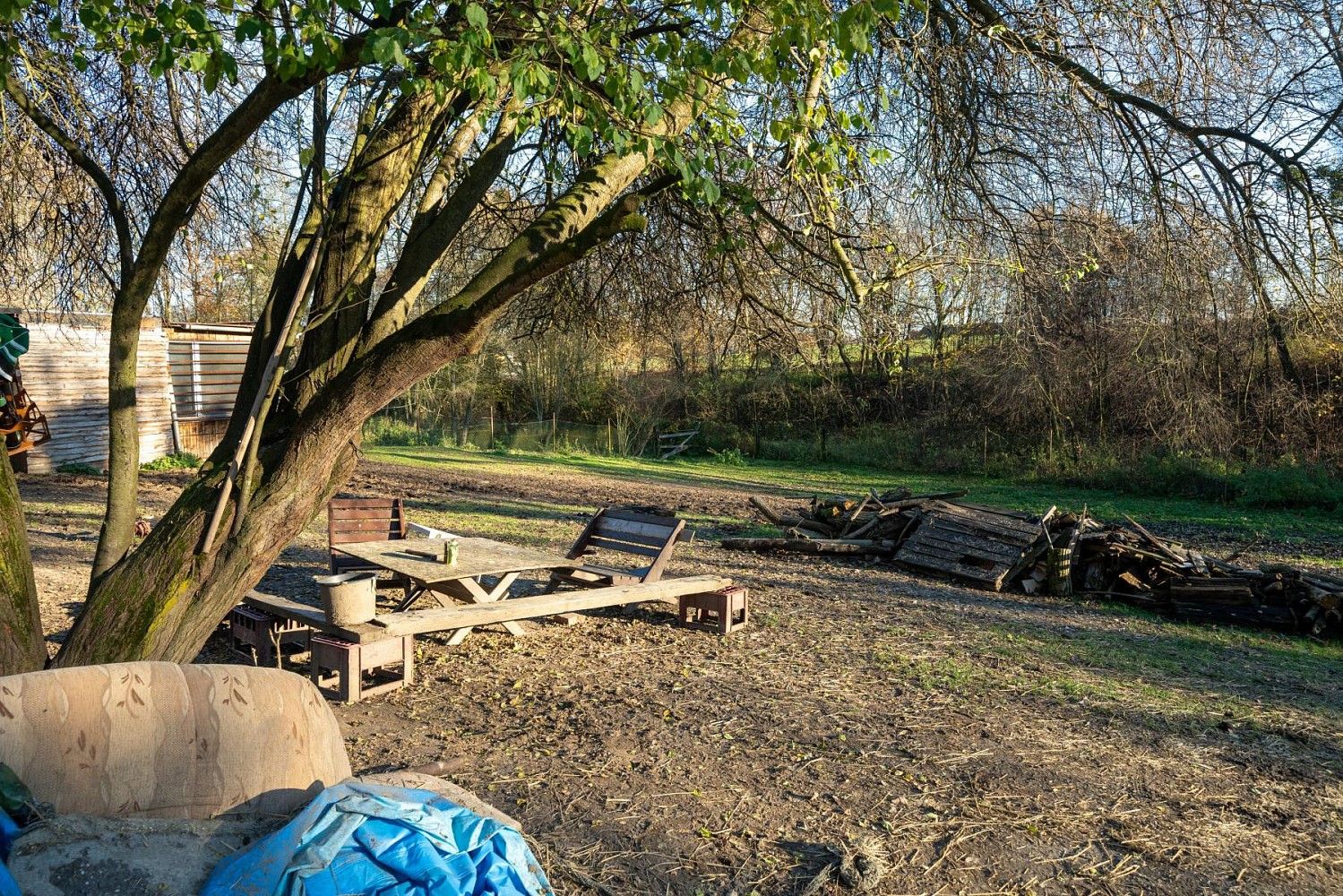 Pronájem komerční pozemek - Markvartovice, okres Opava, Moravskoslezský kraj - 2