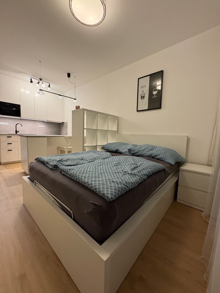 Byt 1+kk · 31 m² · Železná, Plzeň - Plzeň, Plzeňský kraj - 3