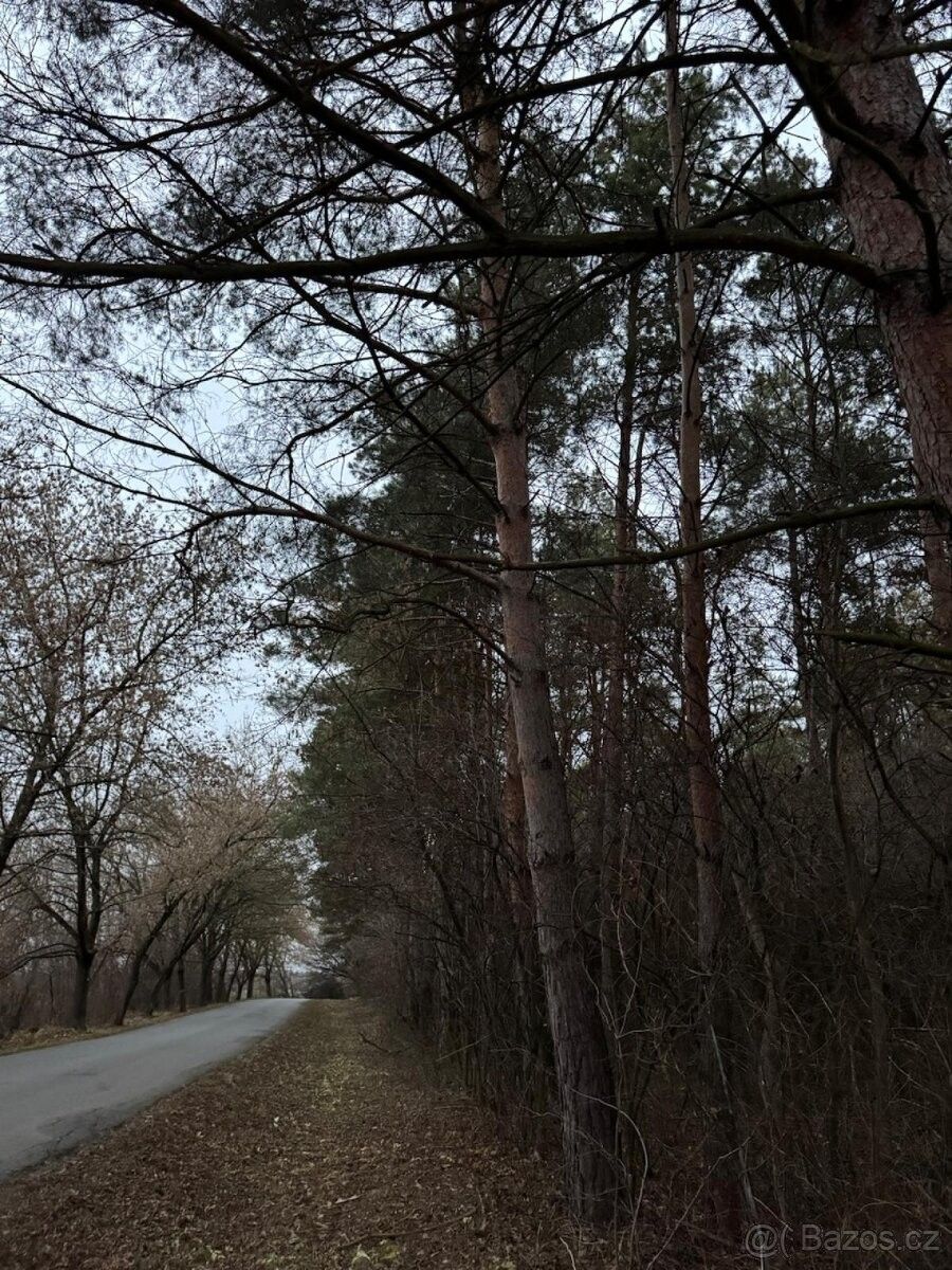 Pozemky pro bydlení, Čáslav, 286 01