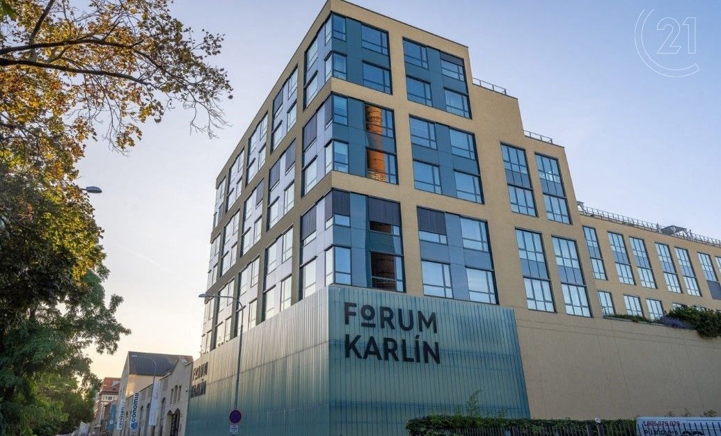 Kanceláře, Pernerova, Praha, 595 m²