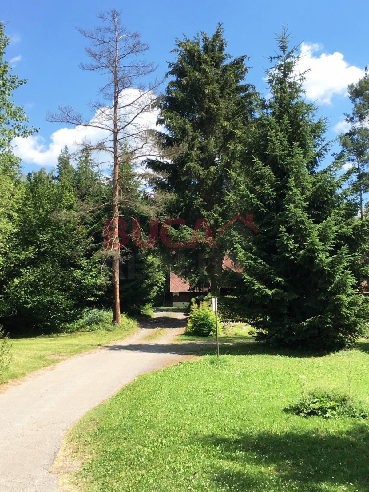 Chata · 70 m² · Jenišov 232, Horní Planá - 4
