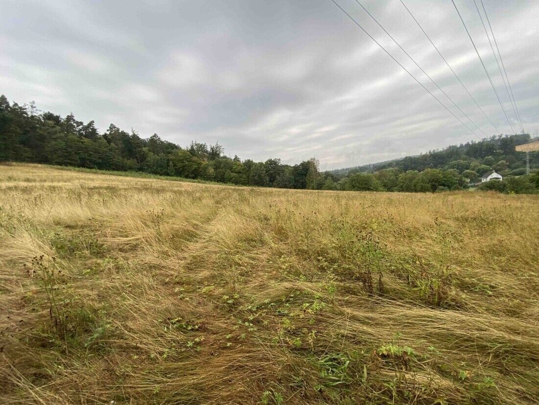 Prodej louka - Brumovice Úblo, 1 160 m² - 5