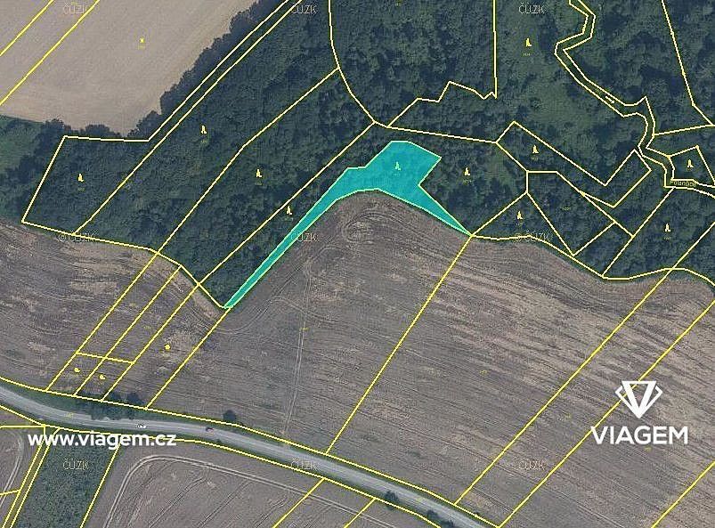 Lesy, Olbramice, okres Ostrava-město, Moravskoslezský kraj - 1