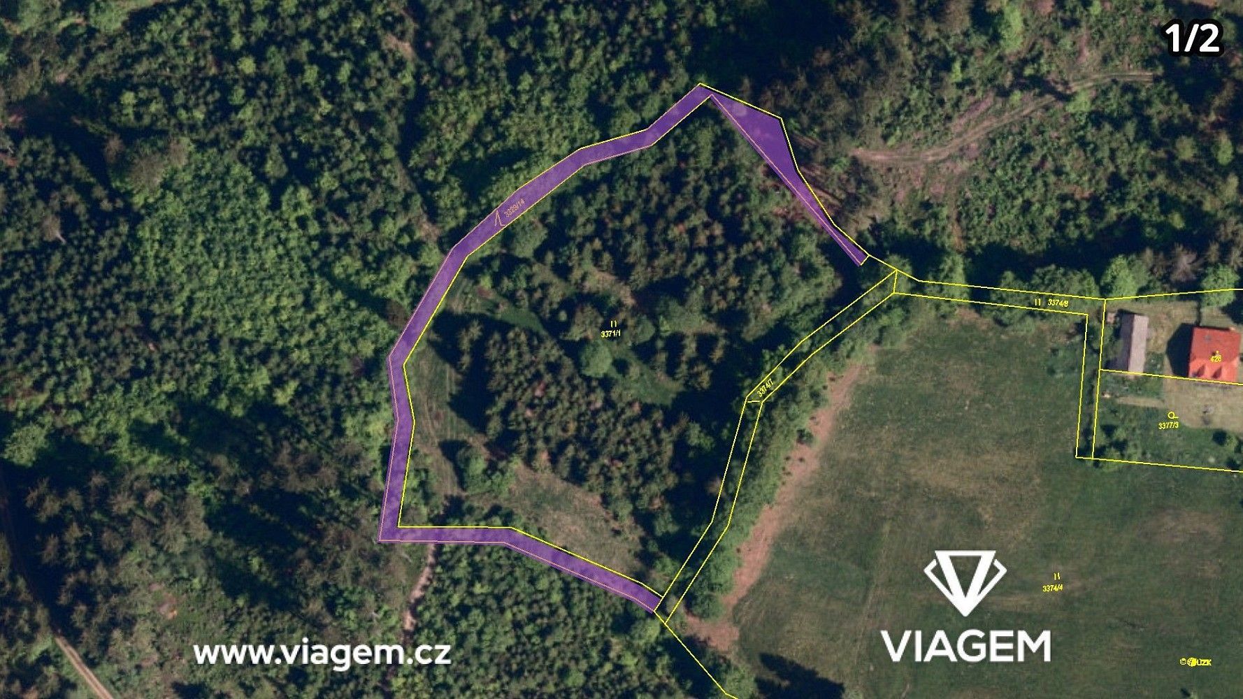 Les · Hrčava, okres Frýdek-Místek, Moravskoslezský kraj - 4