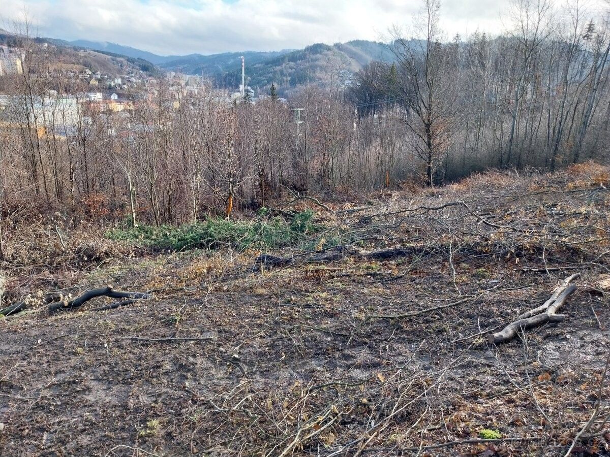 Pozemky pro bydlení, Vsetín, 755 01