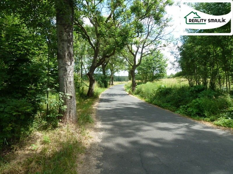 Prodej pozemek - Jezerní, Františkovy Lázně Slatina, 5 988 m² - 5