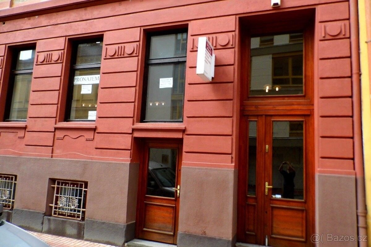 Obchodní prostory, České Budějovice, 370 01