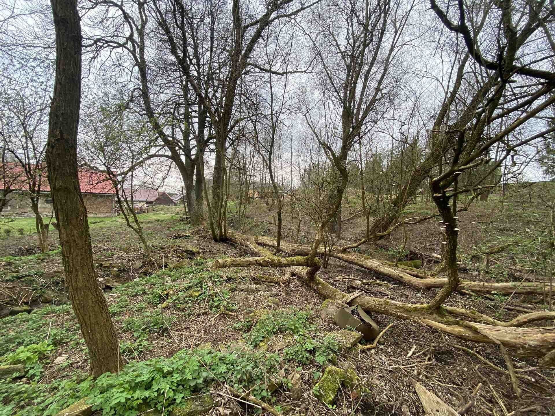 Prodej pozemek pro bydlení - Chotěboř Počátky, 463 m² - 5