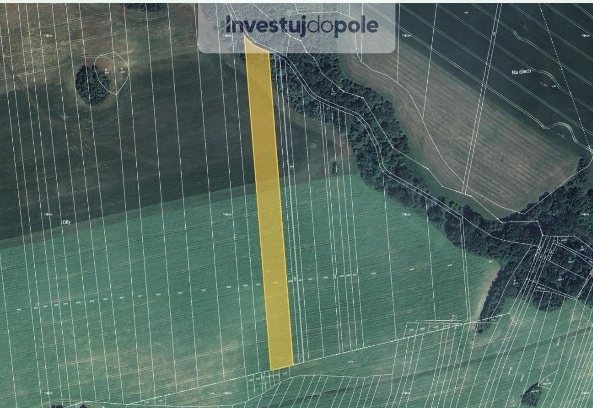 Zemědělské pozemky, Doubravice nad Svitavou, 4 567 m²