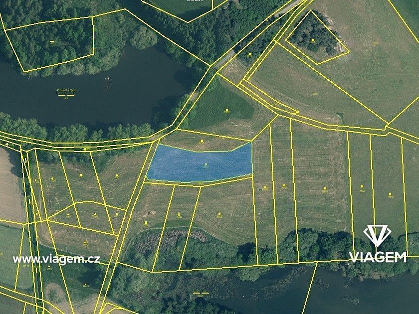 Zemědělské pozemky, Chanovice, okres Klatovy - 2