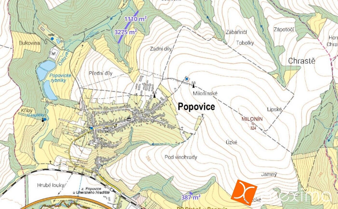 Les · Popovice, okres Uherské Hradiště, Zlínský kraj - 3
