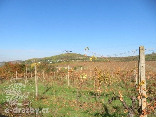 Ostatní, Velké Žernoseky, 2 775 m²