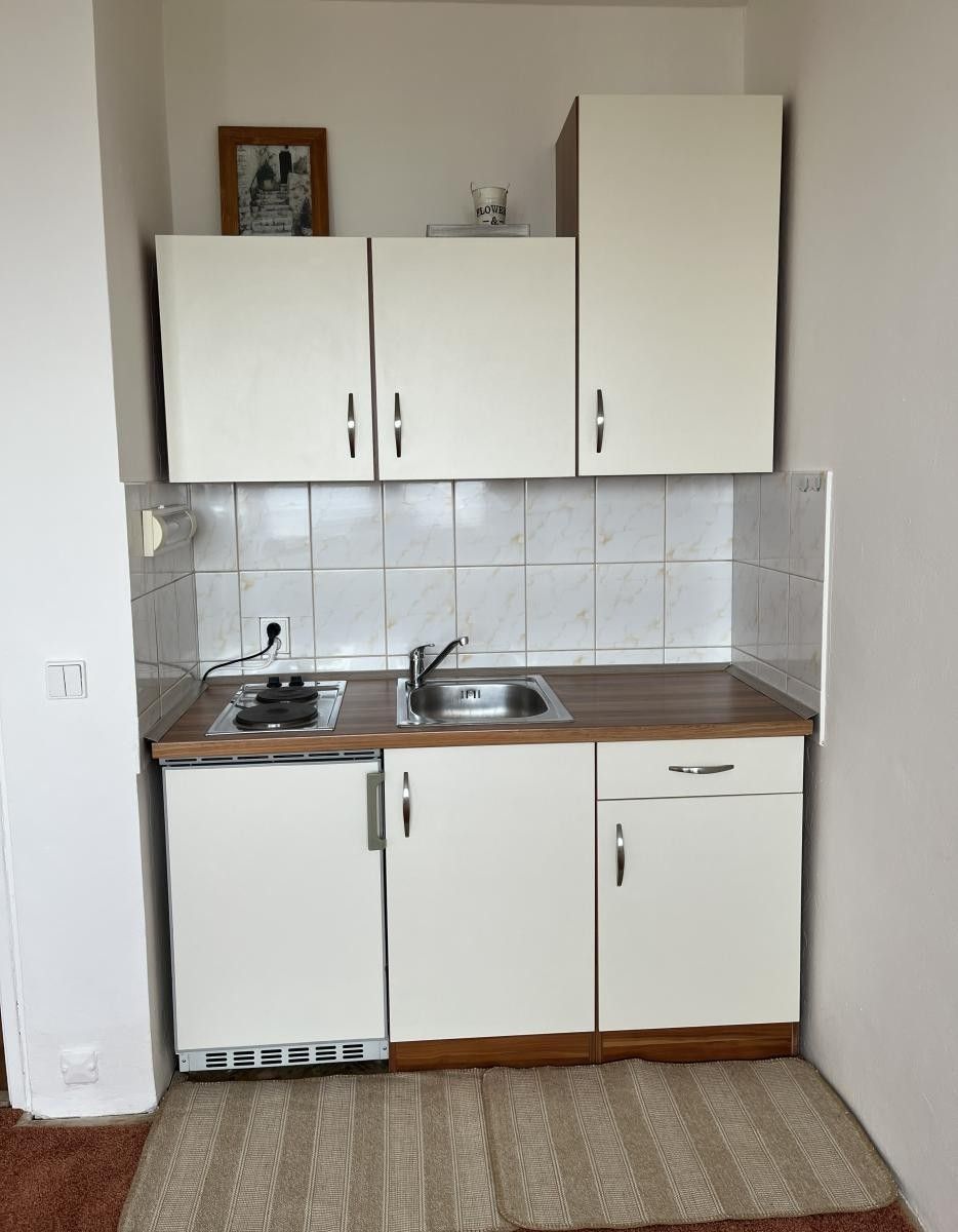 Pronájem byt 1+kk - Halasovo náměstí, Brno, 26 m²