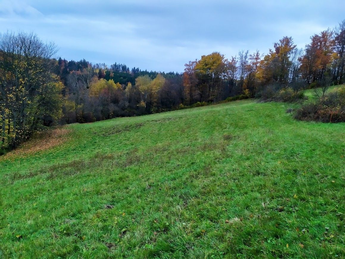 Pozemek pro bydlení · Valašská Polanka, 756 11 - 4