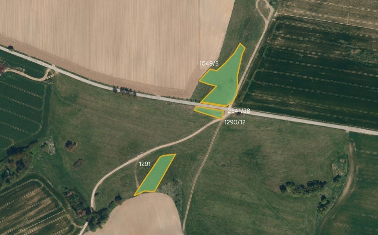 Louky, Křešín - 1