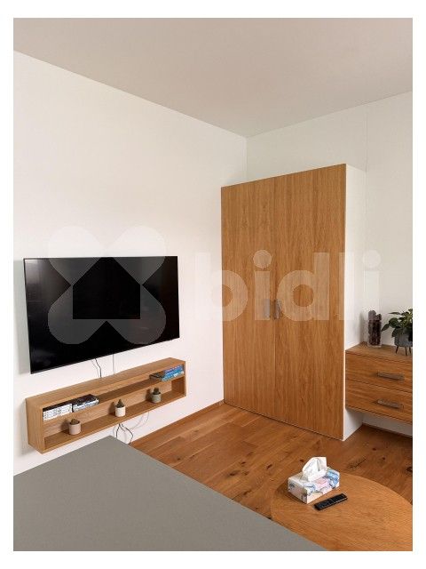 Pronájem byt 1+kk - Floriána Nováka 5267, Prostějov, 28 m²