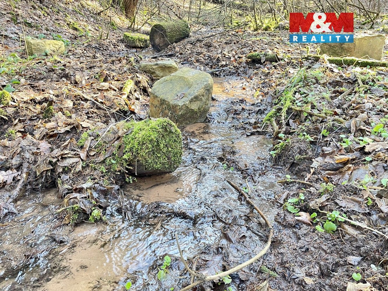 Les · Dolní Dobrouč - Lanšperk, okres Ústí nad Orlicí, Pardubický kraj - 3