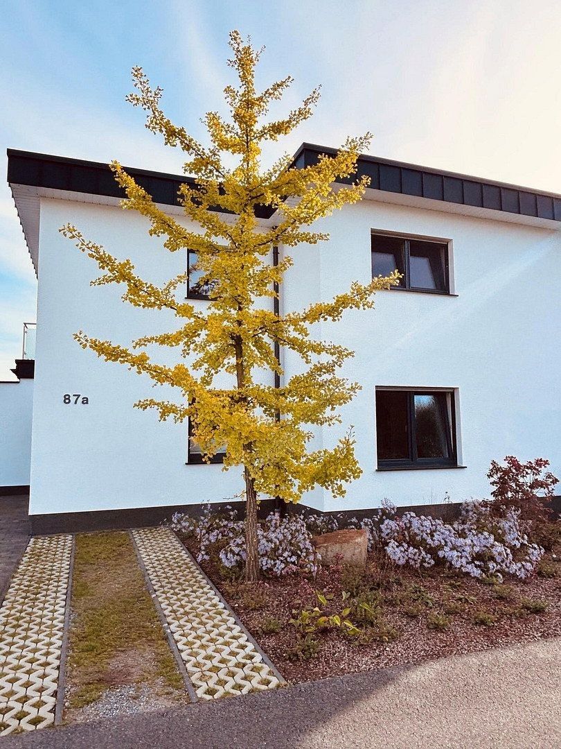 Rodinné domy, , Dolní Sasko, 142 m² - 1