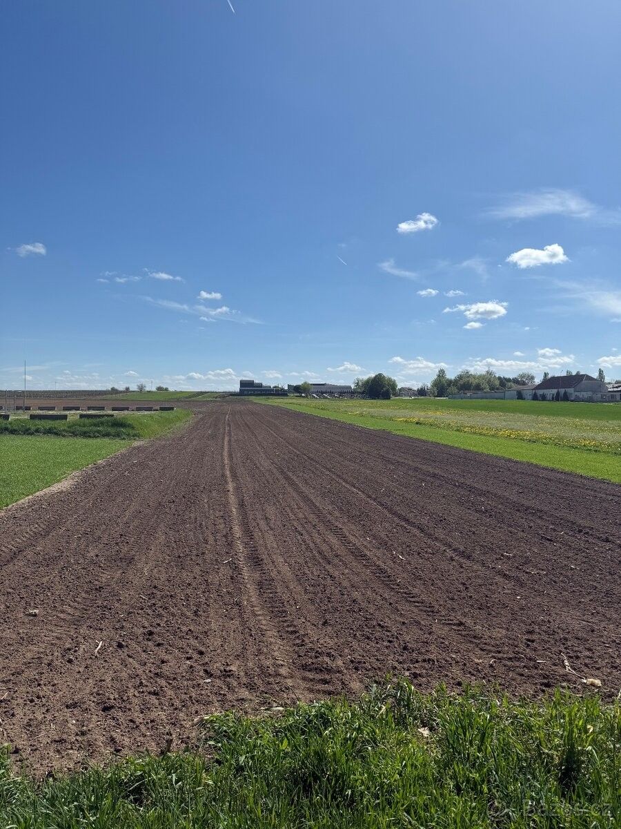 Pozemky pro bydlení, Kostice u Břeclavě, 691 52