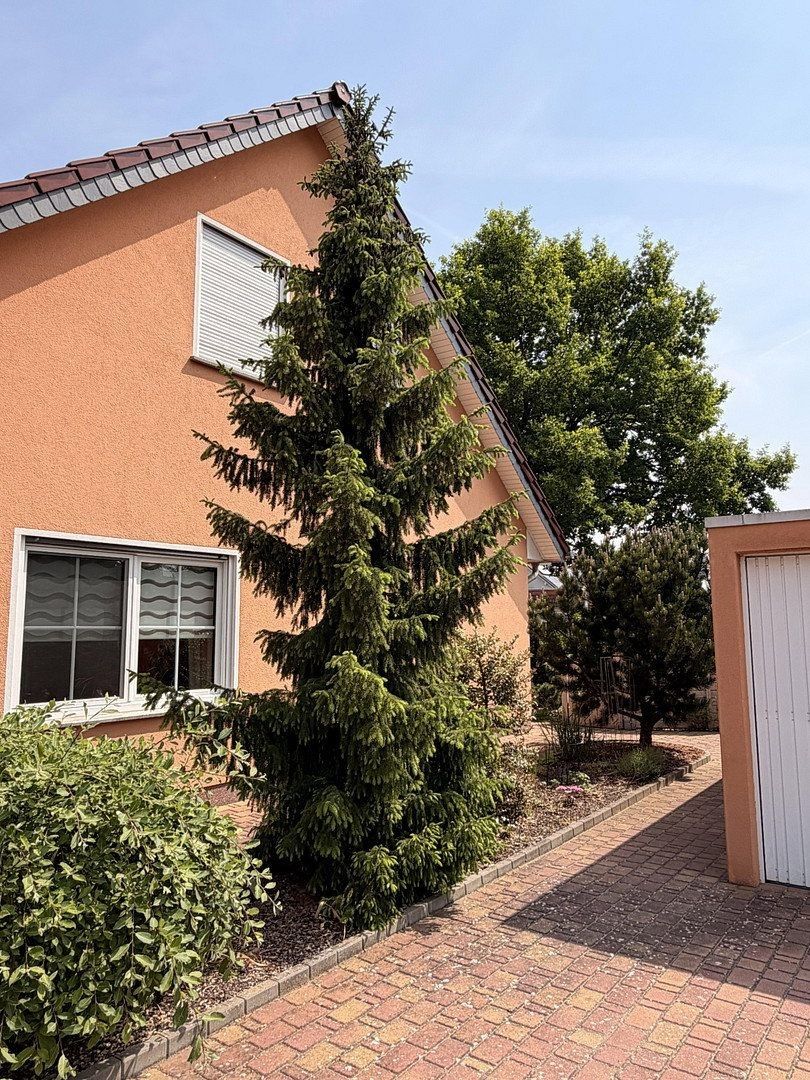 Rodinné domy, , Braniborsko, 176 m² - 2