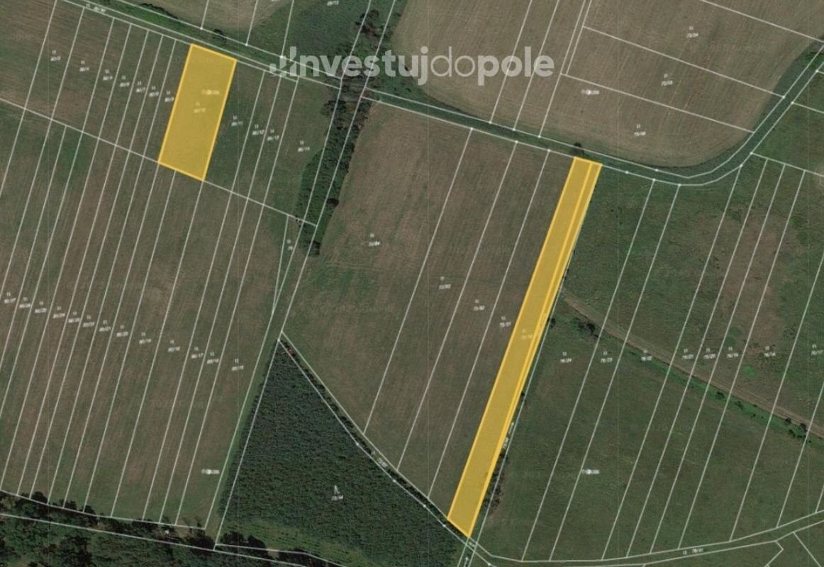 Prodej louka - Přelouč, 535 01, 2 604 m²