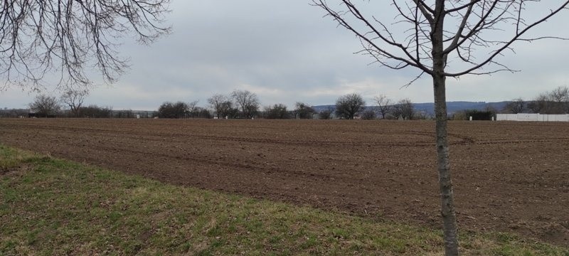 Komerční pozemek · Rousínov - 3