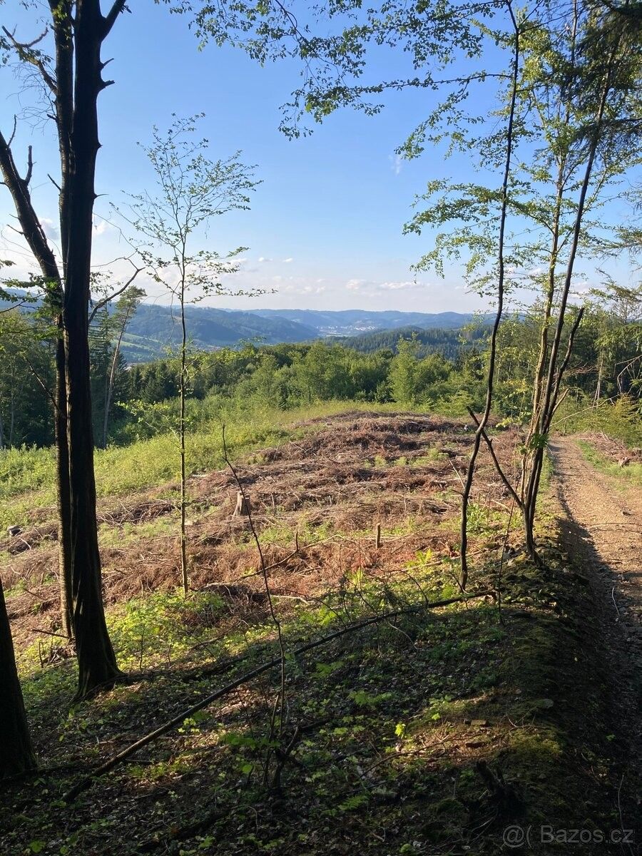 Pozemky pro bydlení, Valašská Polanka, 756 11