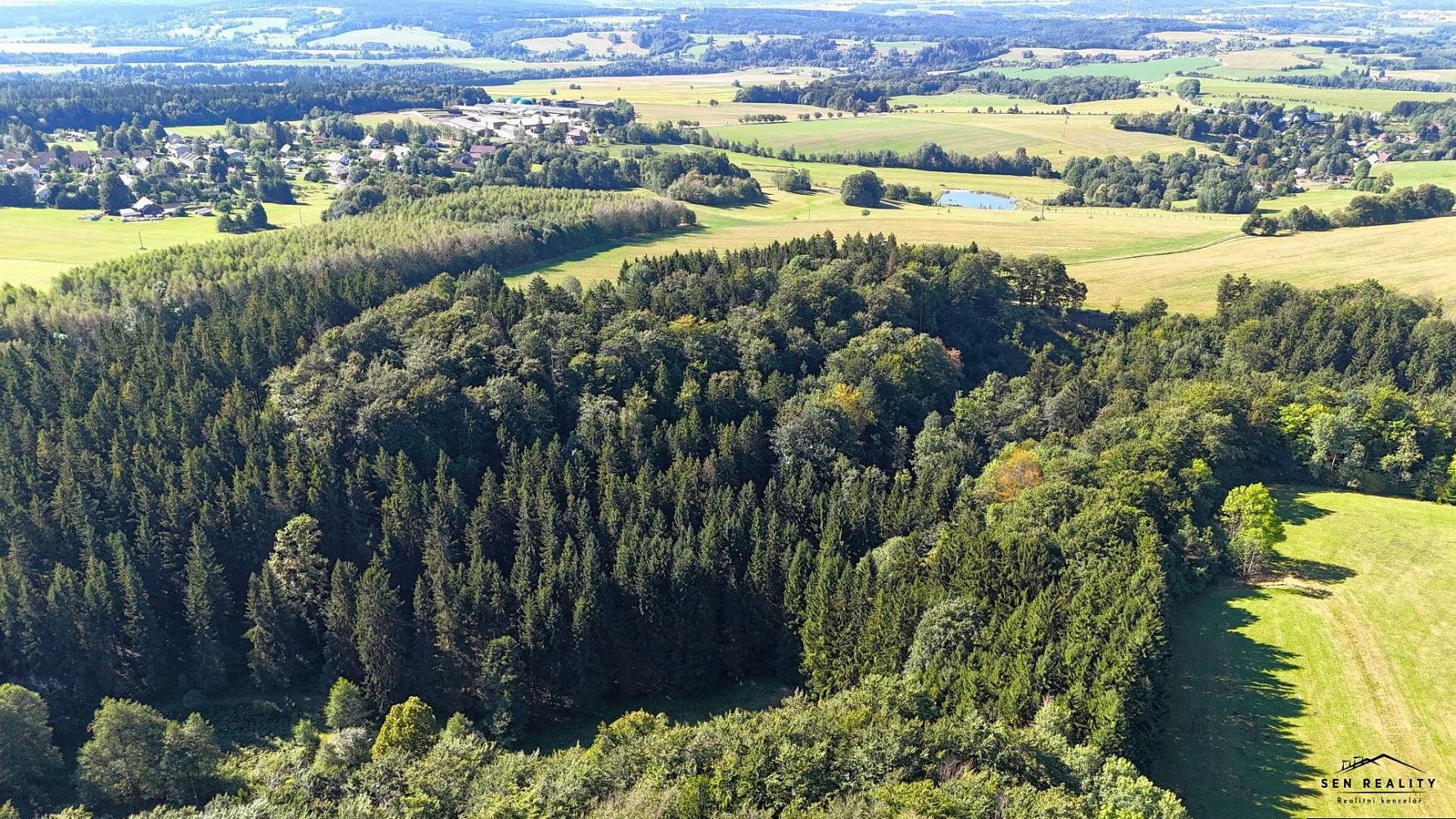 Les · Liberk, okres Rychnov nad Kněžnou - 3